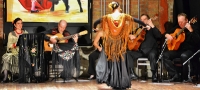 2012 - 'Flamenco entre Amigos I'