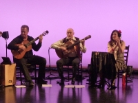 2013 - 'Flamenco entre Amigos II'